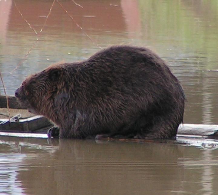 Exkurze na lodi po Moravě!