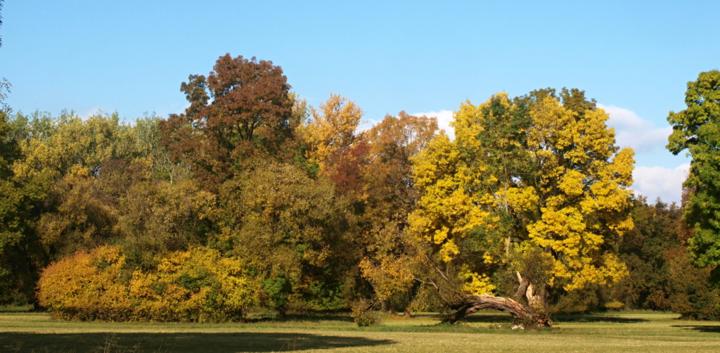 Exkurze Tajemství lužních lesů na Soutoku
