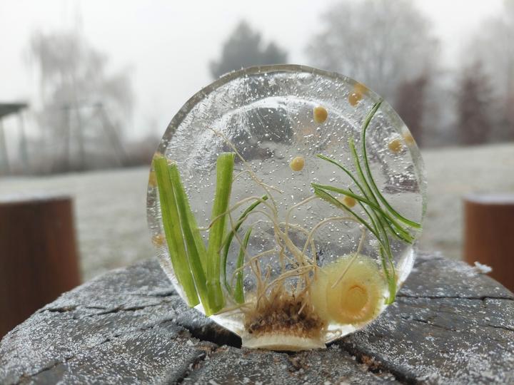 Silvestr v&nbsp;Podomí