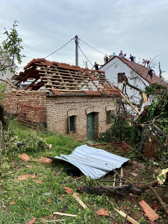 Pomoc vinařům v&nbsp;Mikulčicích