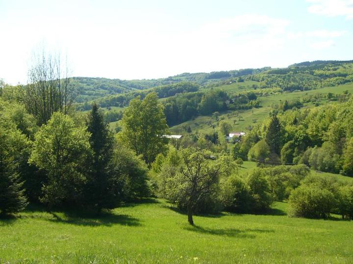 Provoněná Žítková