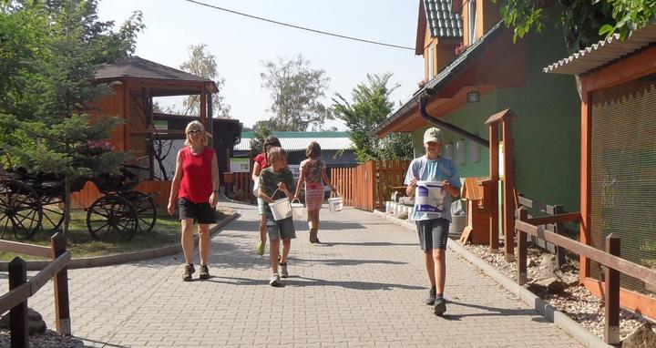 Všechno lítá, co má peří