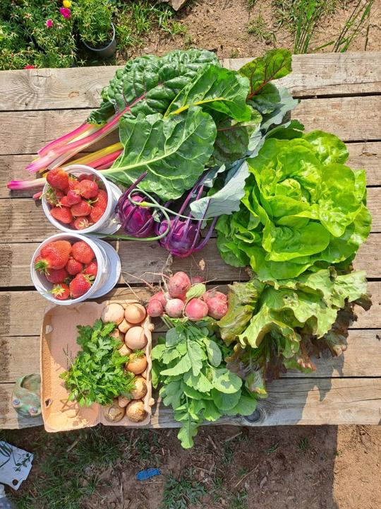 Město v&nbsp;zahradě