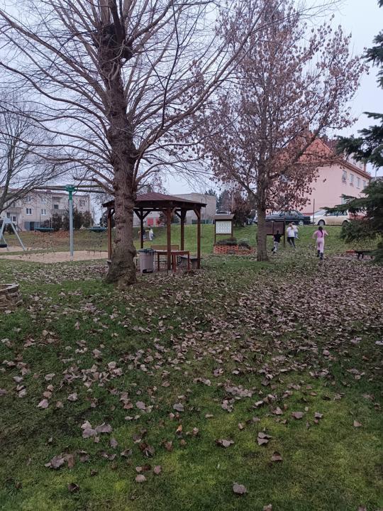 Čmelíny do školní zahrady