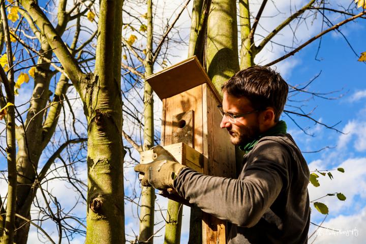 Čištění pražských budek