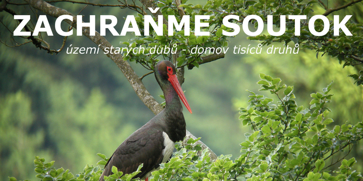 Zachraňme Moravskou Amazonii - INFOSEMINÁŘ