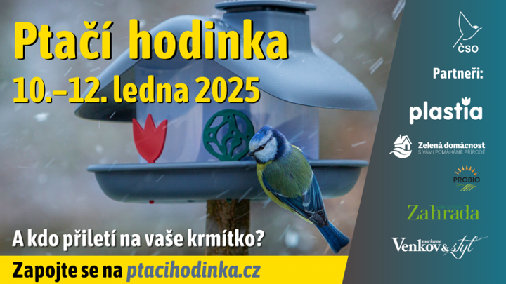 Ptačí hodinka 2025