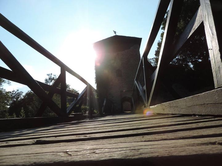 Oslavy 40 let Brontosaura na Lukově